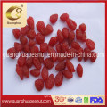 Hot Sales Sweet Fruit Dried Strawberry